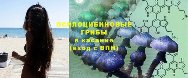 прущая мука Белокуриха