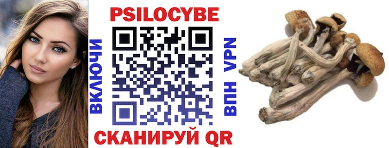купить наркотики сайты  даркнет клад  Псилоцибиновые грибы GOLDEN TEACHER  Воскресенск 